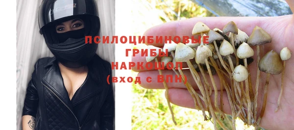 тгк Козельск