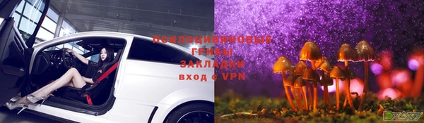 тгк Козельск