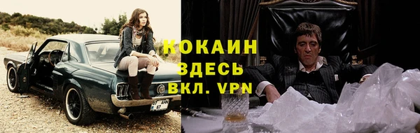 индика Козловка