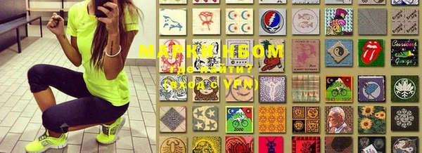 индика Козловка