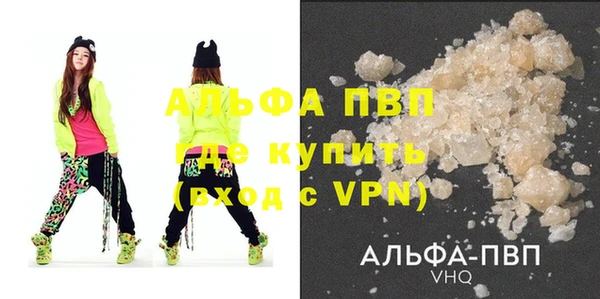 индика Козловка